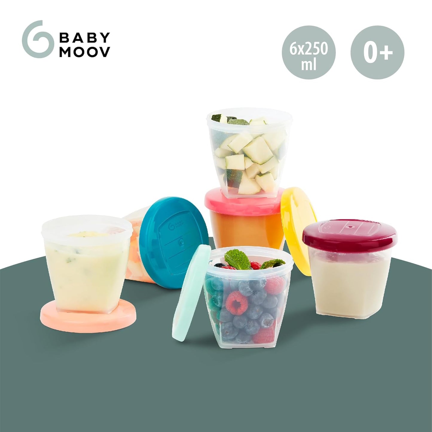 Babymoov Food Storage Containers - 6 pieces - 250 ml