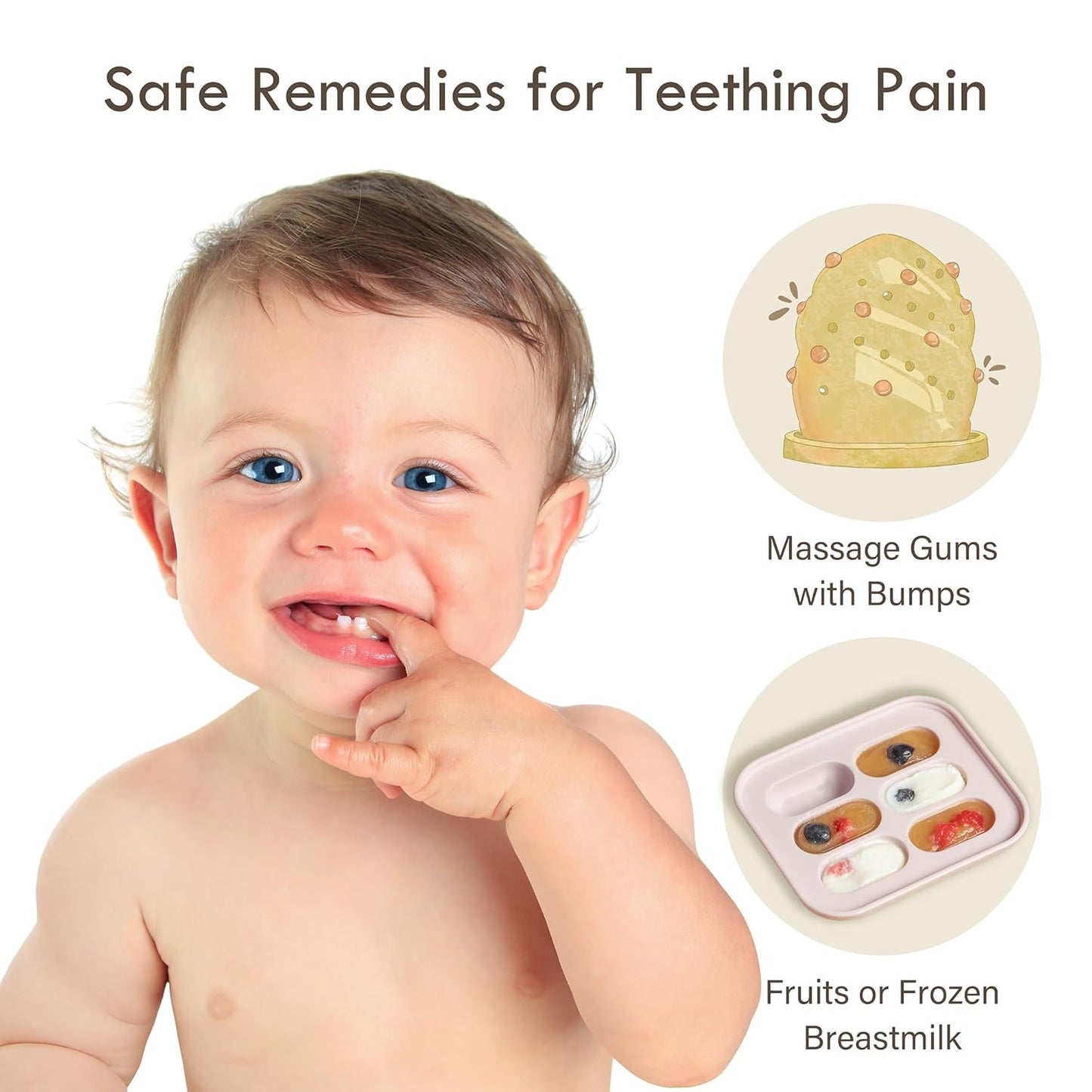 Baby Fruit Teat with Freezer Tray - Pale Mauve