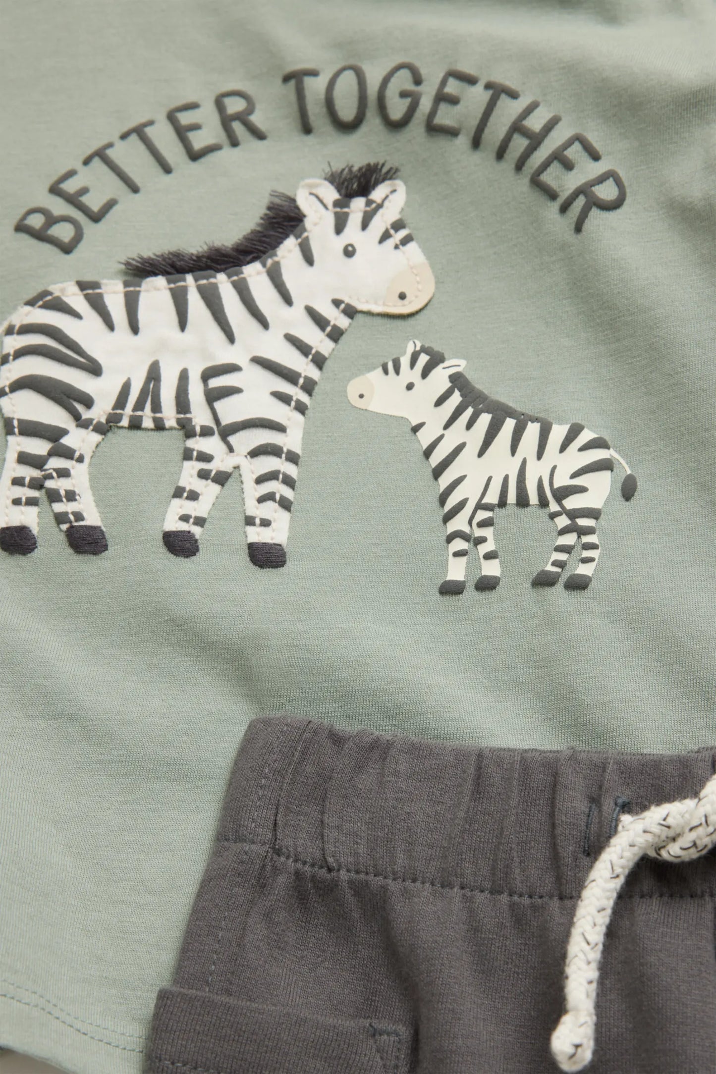 Zebra - baby outfit - 2 piece