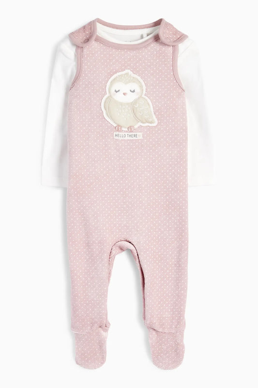 Owl 2 pieces romper set