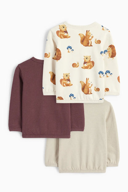 Pack of 3 squirrel sweatshirts