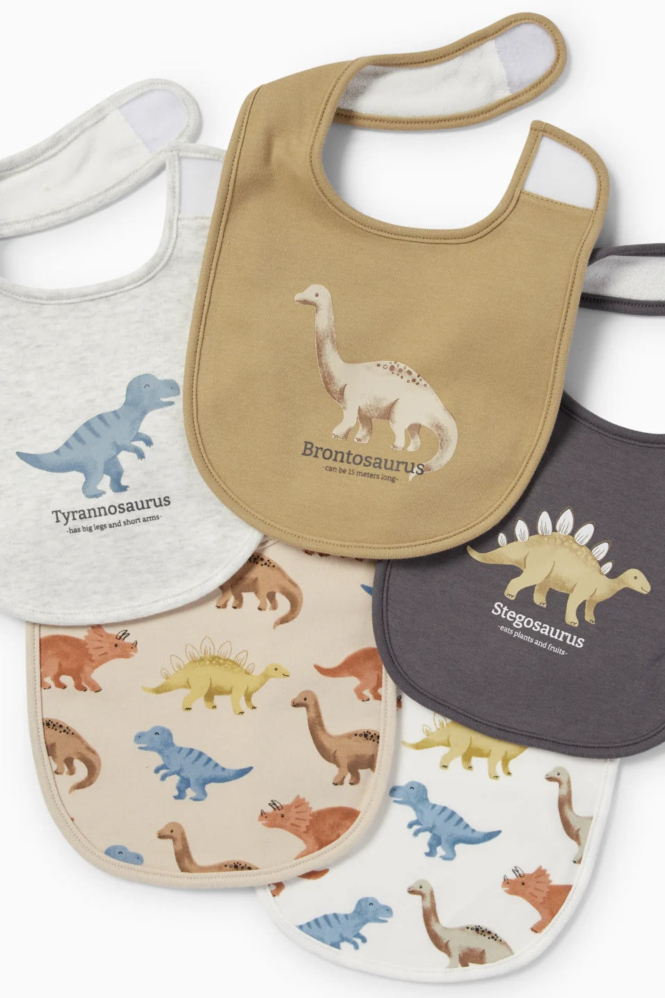 Pack of 5 Dino bibs