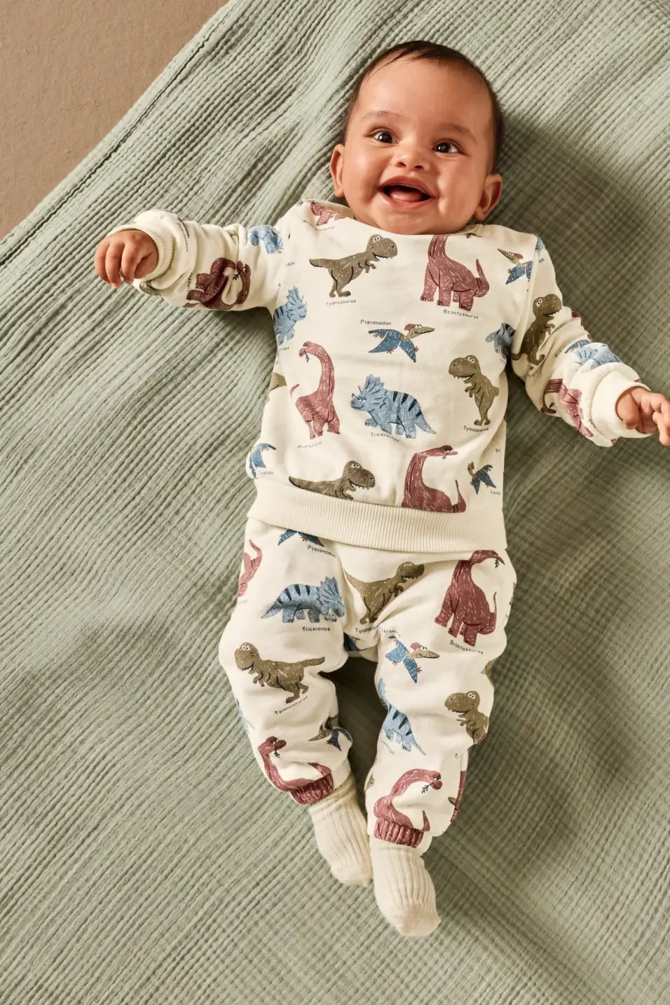 Dino - Pack of 3 Sweatshirt
