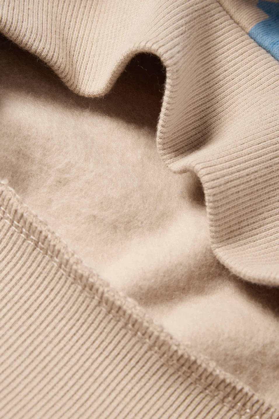 Tiger and Dino - Hoodie and Sweatshirt