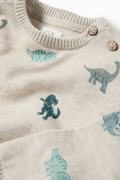 Dino - Knit Pullover