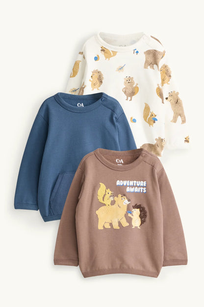 Bear, Hedgehog, Squirrel - Pack of 3 Sweatshirts