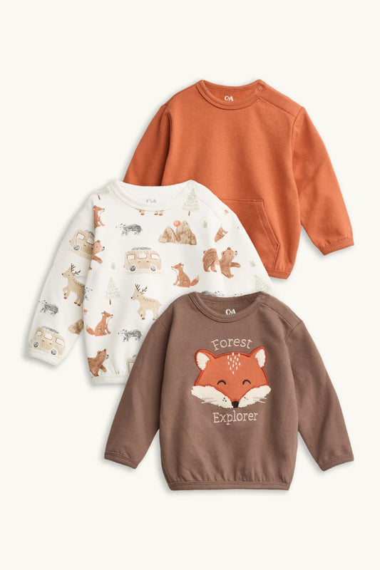 Fox and Forest Animals - Pack of 3 Sweatshirts