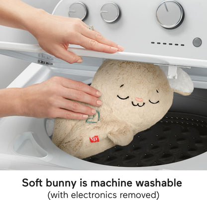 Fisher-Price Soothe & Settle Bunny baby toy