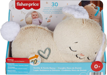 Fisher-Price Soothe & Settle Bunny baby toy
