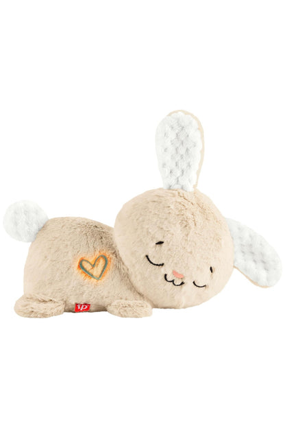 Fisher-Price Soothe & Settle Bunny baby toy